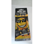 Купить Areon 704SMR319 AREON 