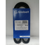 Купить Globelt AVX10X875 Ремень клиновой Ford