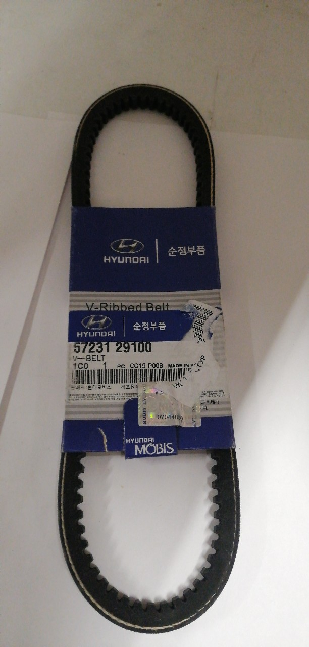 Купить запчасть HYUNDAI-KIA - 5723129100 Ремень клиновой ГУР 13A655 Accent DOHC 99>, Coupe 1.6 01>, Elantra 1.6 00>