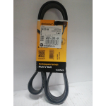Купить Contitech 6PK1548 Ремень поликлиновой 6PK1548