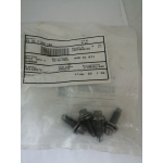 Купить Asam 51217062145 Болт металлический крепления глушителя TORX M8x25 BMW: 1 E81/82/87/88, 3 E46/90/91/92/93, 5 E60/61/F