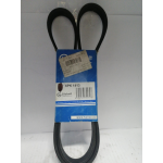 Купить Globelt 6PK1413 Ремень генератора /Г-3302 дв. 405/ 6PK1413 Евро-3 с ГУР