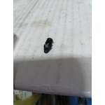 Купить Ford W7029851042065 Пластиковый крепеж кузов, уплотнитель Ford